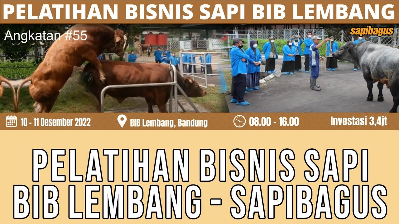 
                                 Pelatihan-Sapibagus-BIB-Lembang